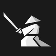 The Anime Warrior