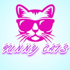 Funny Cats