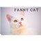 FANNY CATS