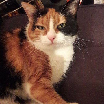 Reportagen (Herbel TV7)