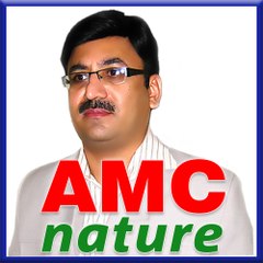 AMC nature