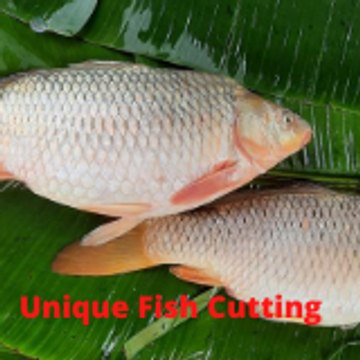 Unique Fish Cutting