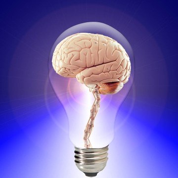 Logical thinkingo hub official
