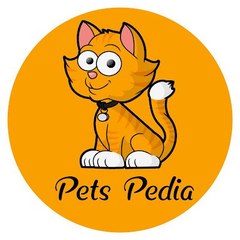 Funnies Pet's Life