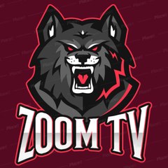 ZOOM TV