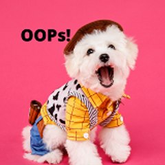 Oops PETS!