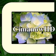 CimanowHD