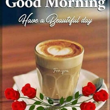 Funny videos (Fun only)