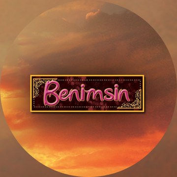 Benimsin