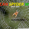 African Spyder Web