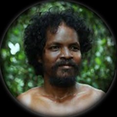 Primitive Wilderness