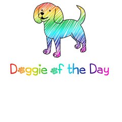 Doggie Of The Day