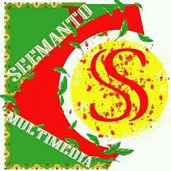 Seemanto Multimedia