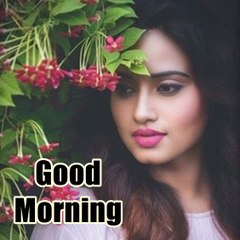 Whatsapp Status