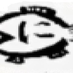 釣りに行くしなヨンシン