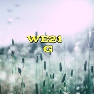WE21 GAMING