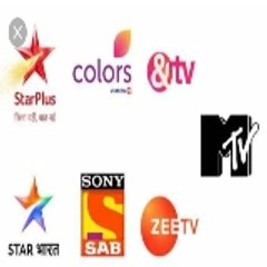 Mtv Rodies Revolution