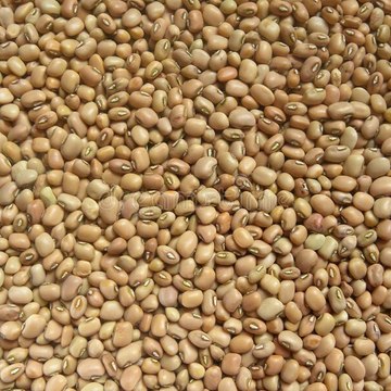 SEHAR KHURRAM KITCHEN