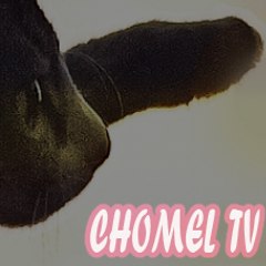 CHOMEL TV