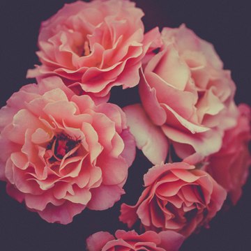 Beauty of Nature