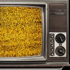 The Last Sitcom