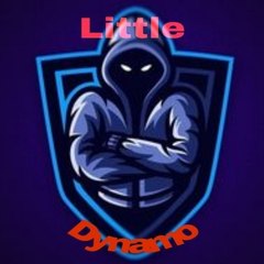 Little Dynamo