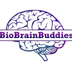 BioBrainBuddies