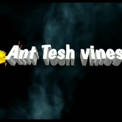 Ant tesh vines
