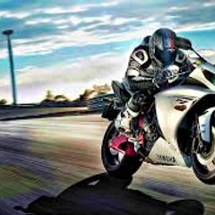 MOTO-RACCOON