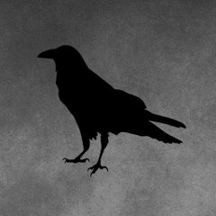 Fascinating Horror
