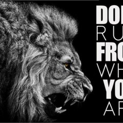 dm_8b3e0cca4f25e2e8c5f4318f3f243766