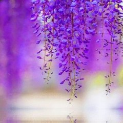 entertainment and information