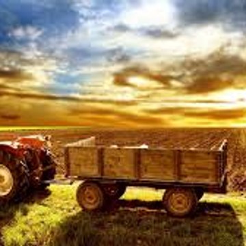 Graduate Farmer
