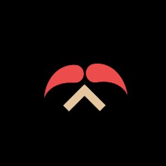 Amazing Videos
