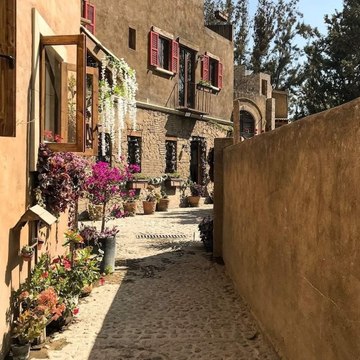 Electonic dinamic home