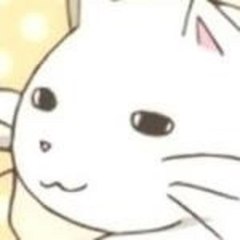 ニャン太チャンネル