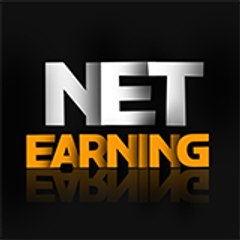 Net Earning