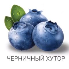 Черничный хутор