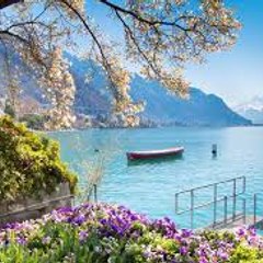 Sports  and Entertainment