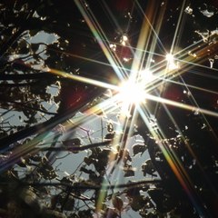 VLF Tests & Other Experiments from SVK