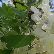 Сергей Зубенко