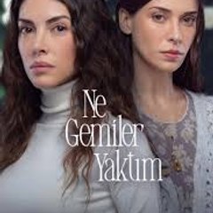 كم من السفن أحرقت