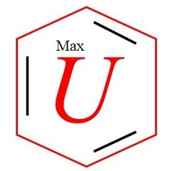 Max U LLC
