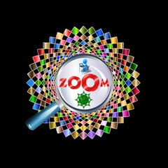 zoom channel