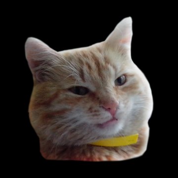 Cat Markiz