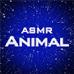 Animal ASMR World