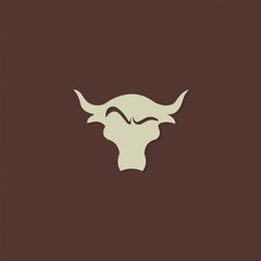 The Bull CHANNEL