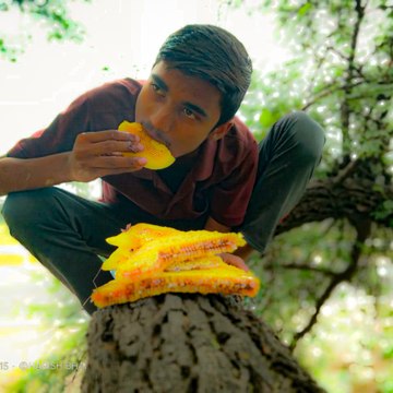 Nature view