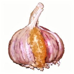 Santa Clara Estartit
