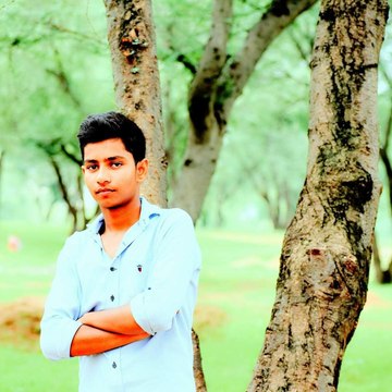 News 365